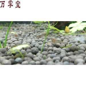 麻醉龍魚的適宜水溫范圍：關于麻醉龍魚的適宜水溫范圍的信息：麻醉龍魚的適宜水溫范圍