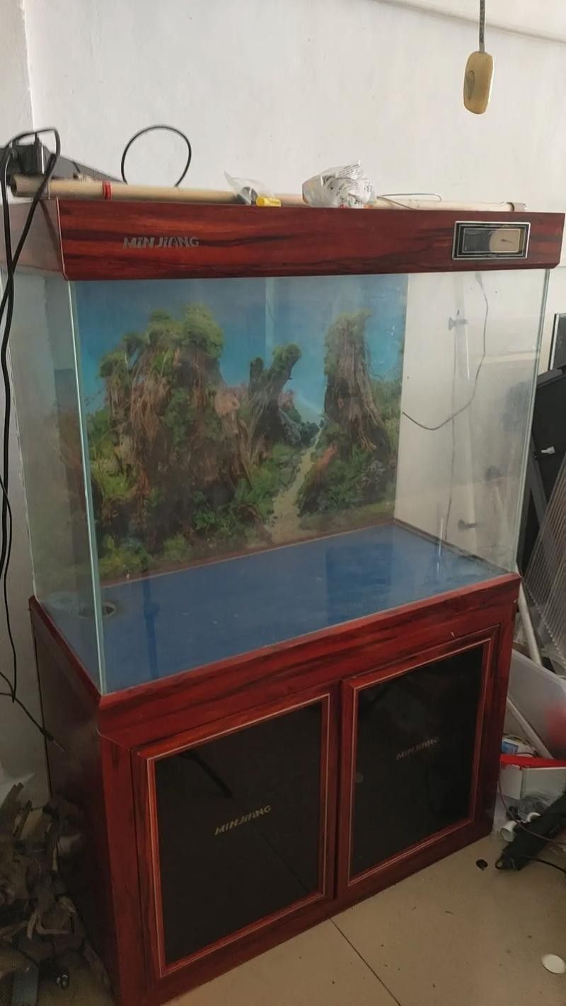 銀龍魚用什么魚缸最好