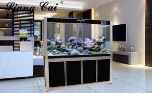 龍魚缸擺放位置風(fēng)：龍魚缸擺放位置風(fēng)水講究