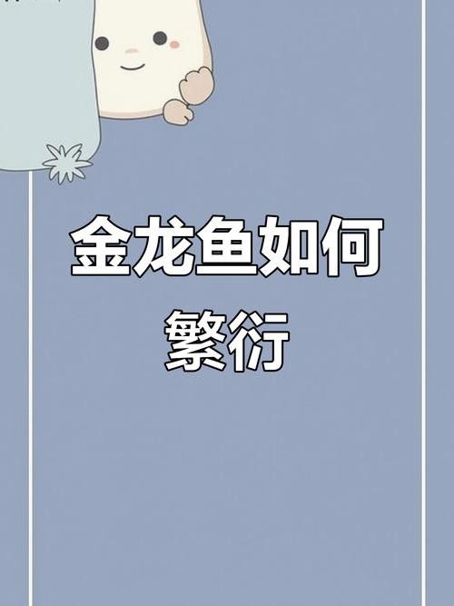 金龍魚的故事簡介