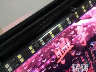 紅龍魚30公分用什么燈：紅龍魚30公分用什么燈光擺放位置紅龍魚30公分用什么燈光