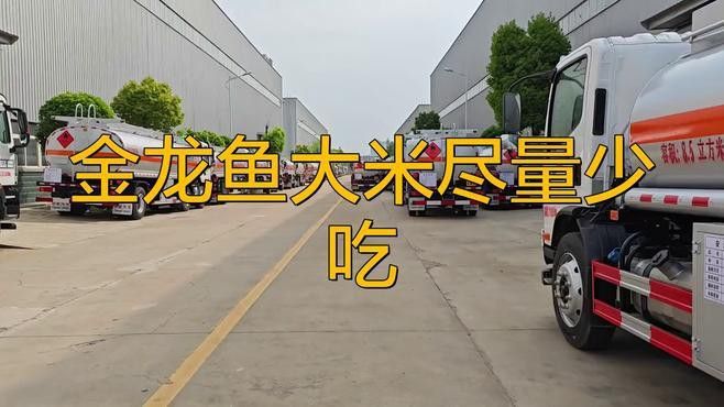 金龍魚2號