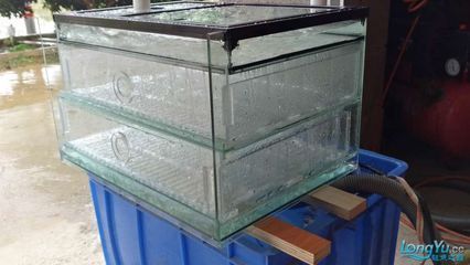 雙層魚缸設計概述（雙層魚缸的設計）