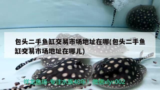 包頭二手魚缸交易市場地址在哪(包頭二手魚缸交易市場地址在哪兒)