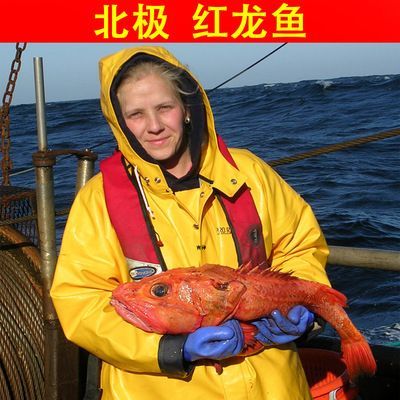 深海紅龍魚價格多少錢一條（深海紅龍魚價格）