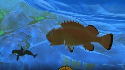 深海紅龍魚價格多少錢一條（深海紅龍魚價格）