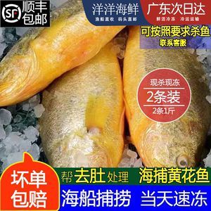 七彩金龍魚能喂海魚嗎（七彩金龍魚可以吃海魚嗎）