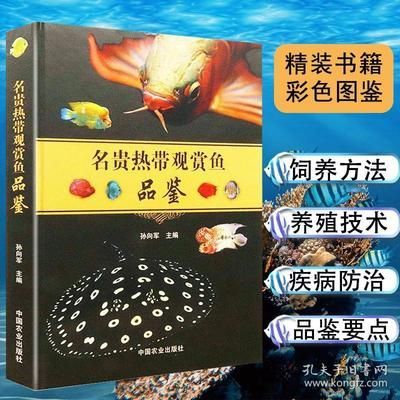 七彩金龍魚能喂海魚嗎（七彩金龍魚可以吃海魚嗎）