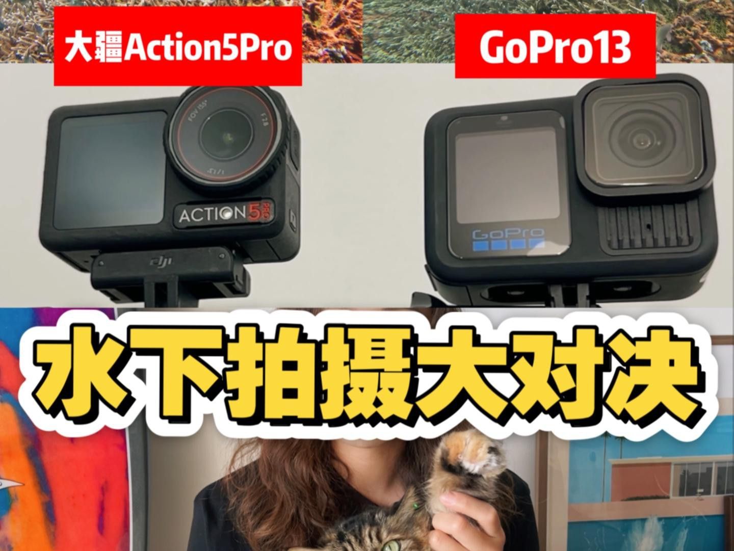 有哪些手機適合水下拍攝