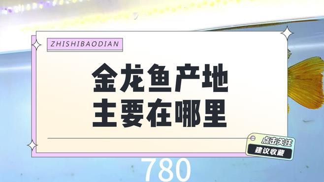 金龍魚是國外的