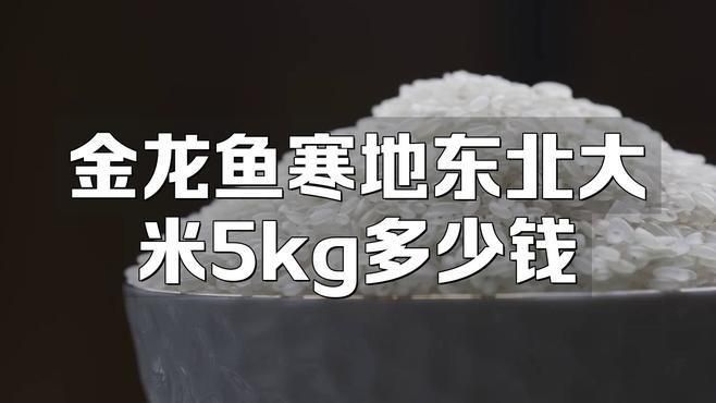 金龍魚產(chǎn)品的價格范圍是多少？