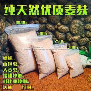 龍魚活體飼料：龍魚活體飼料如何選擇