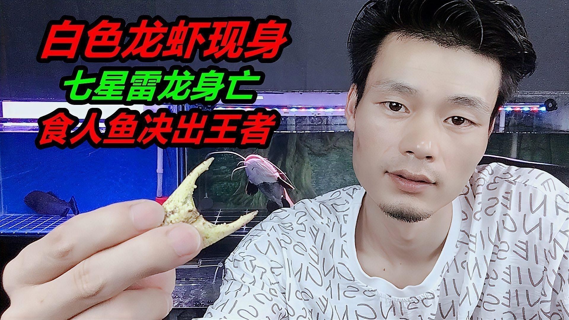 推薦幾款適合龍魚缸的溫控器