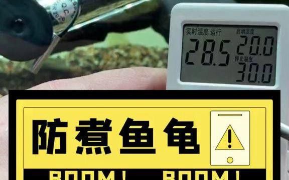 推薦幾款適合龍魚缸的溫控器