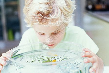 100種小魚缸圖片