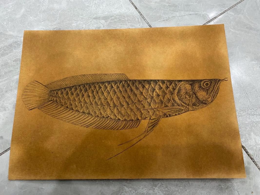 卡通龍魚圖片
