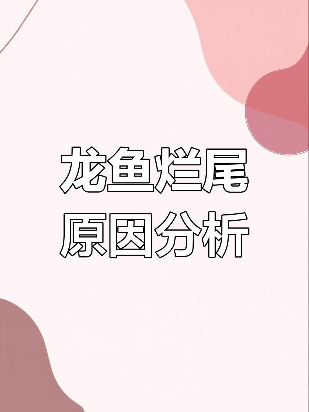 龍魚爛尾病自愈的概率有多大？