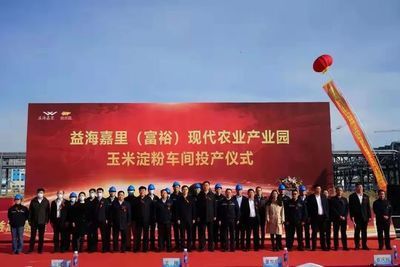 富裕縣金龍魚項目，富裕縣金龍魚項目最新進展