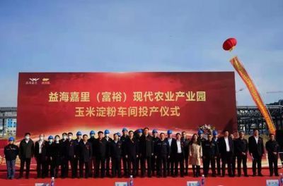 富裕縣金龍魚項目，富裕縣金龍魚項目最新進展