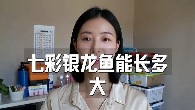 銀龍魚如何飼養和喂養方法