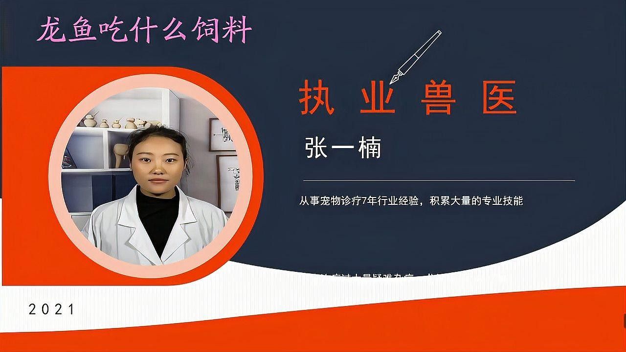 龍魚多久喂一次飼料合適？