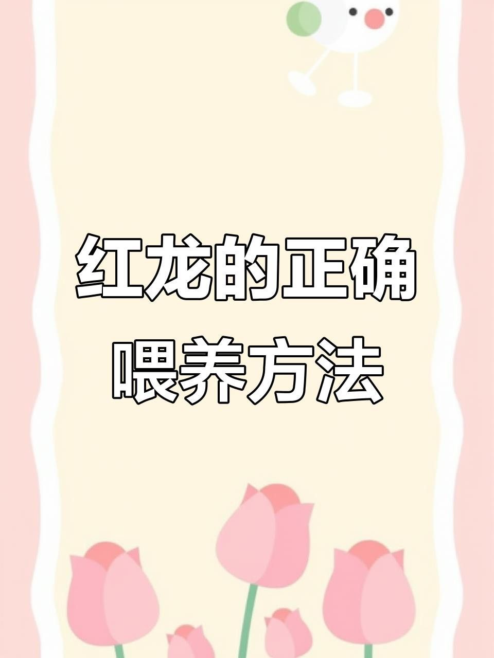 紅龍魚發色期間應該喂什么？