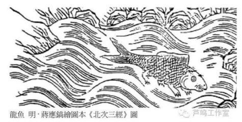 龍魚口感怎樣描述的（龍魚與其他魚類口感對比，如何挑選新鮮龍魚的口感對比）