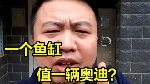 龍魚頭抖動張嘴怎么辦（龍魚頭抖動張嘴可能由多種原因引起，可能由多種原因引起）