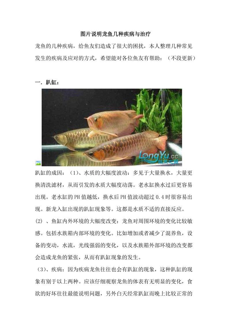如何判斷龍魚是否完全腐爛？