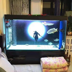 紅龍魚用什么背景好（養紅龍魚缸背景顏色的選擇）