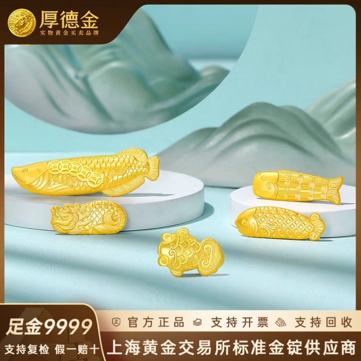 黃金金龍魚要多少元一條 黃金金龍魚要多少元一條 龍魚百科 第8張