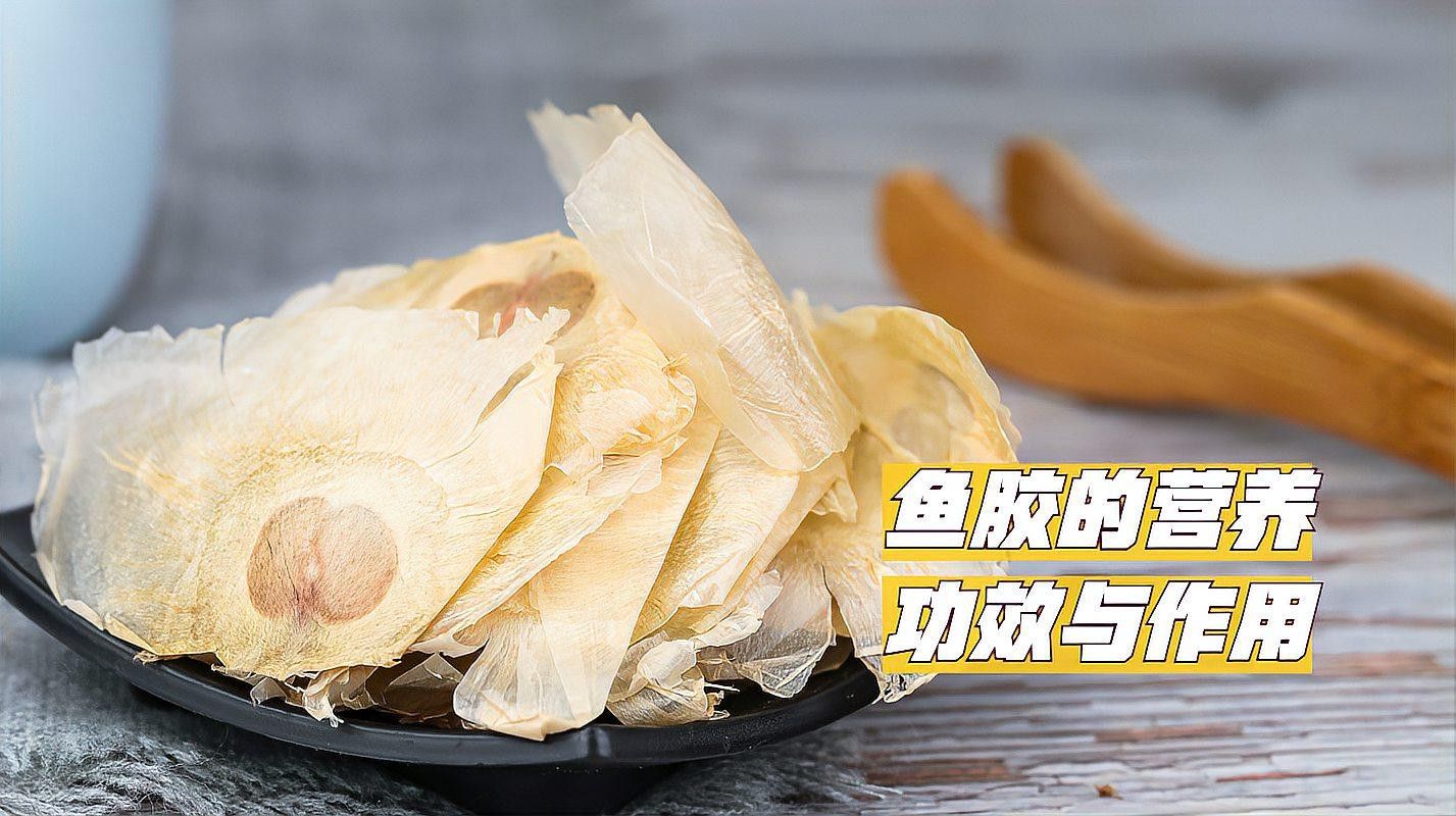 金龍魚膠有什么功效和作用