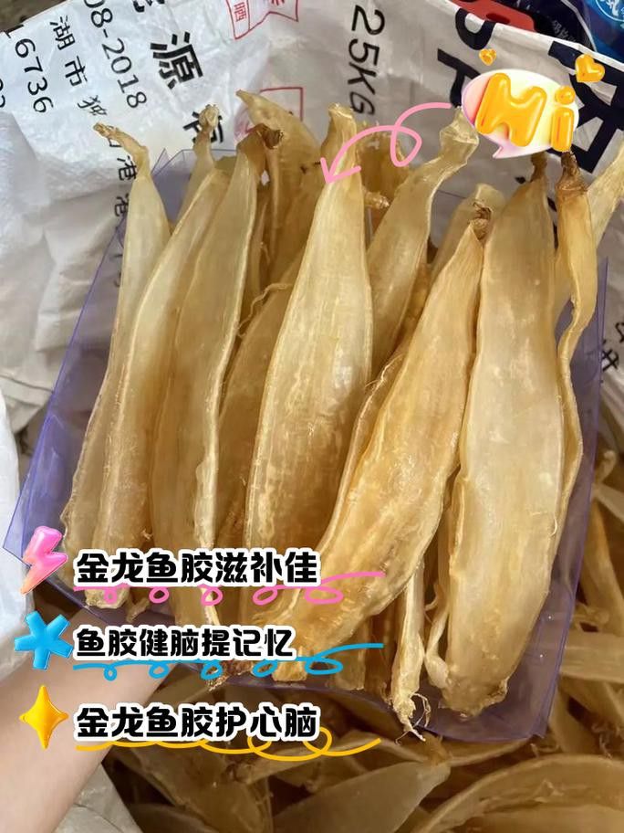 金龍魚膠有什么功效和作用
