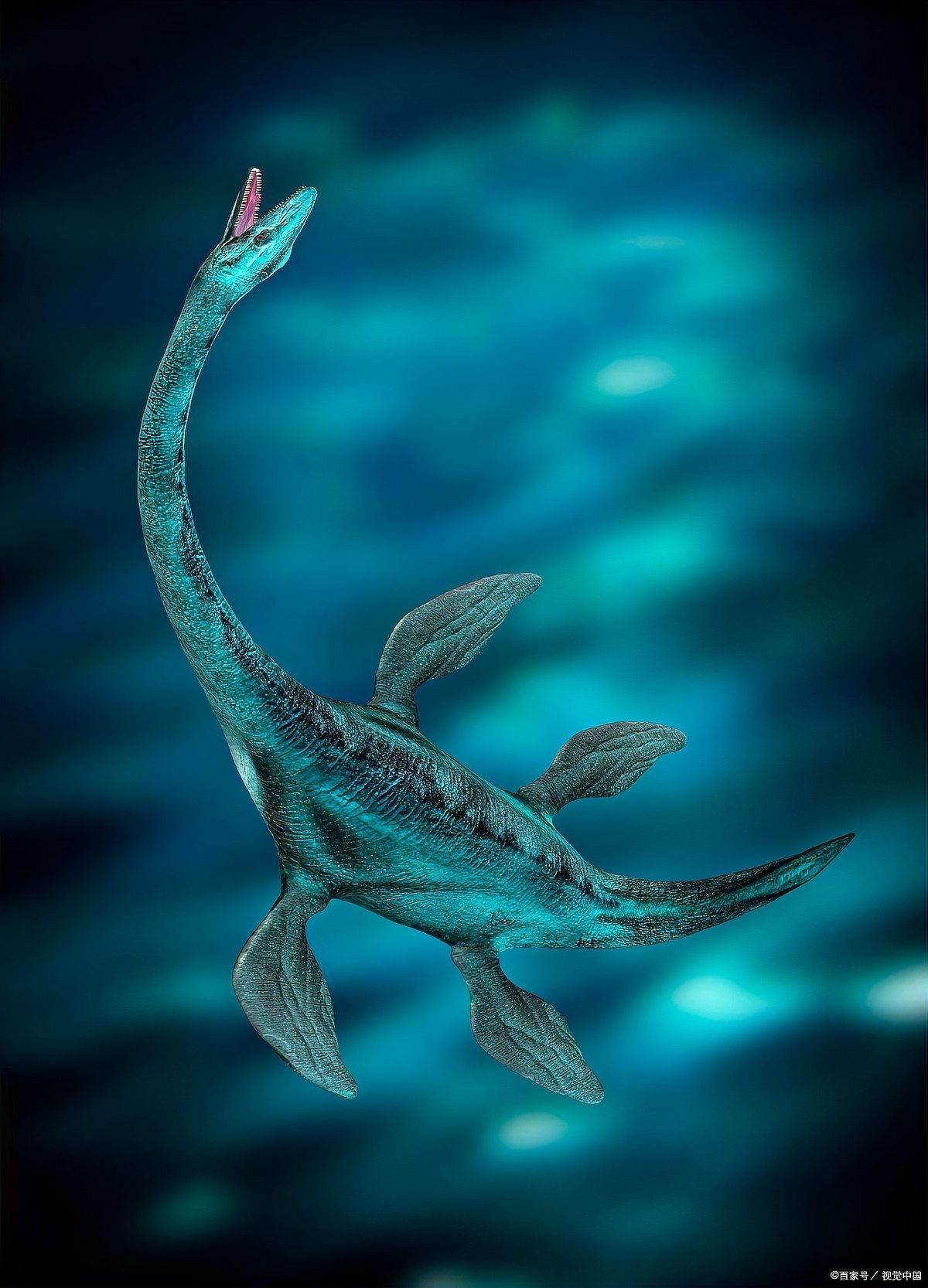 魚龍有哪些天敵？