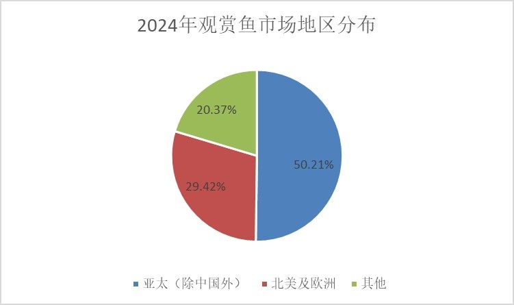 古龍魚的市場需求如何？