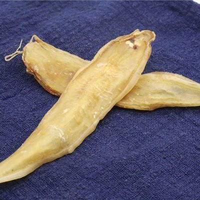 金龍魚膠的營養價值和功效