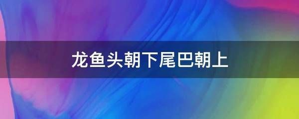 龍魚(yú)頭45度頭朝上（“龍魚(yú)頭45度頭朝上”的直接答案不過(guò)找到了）