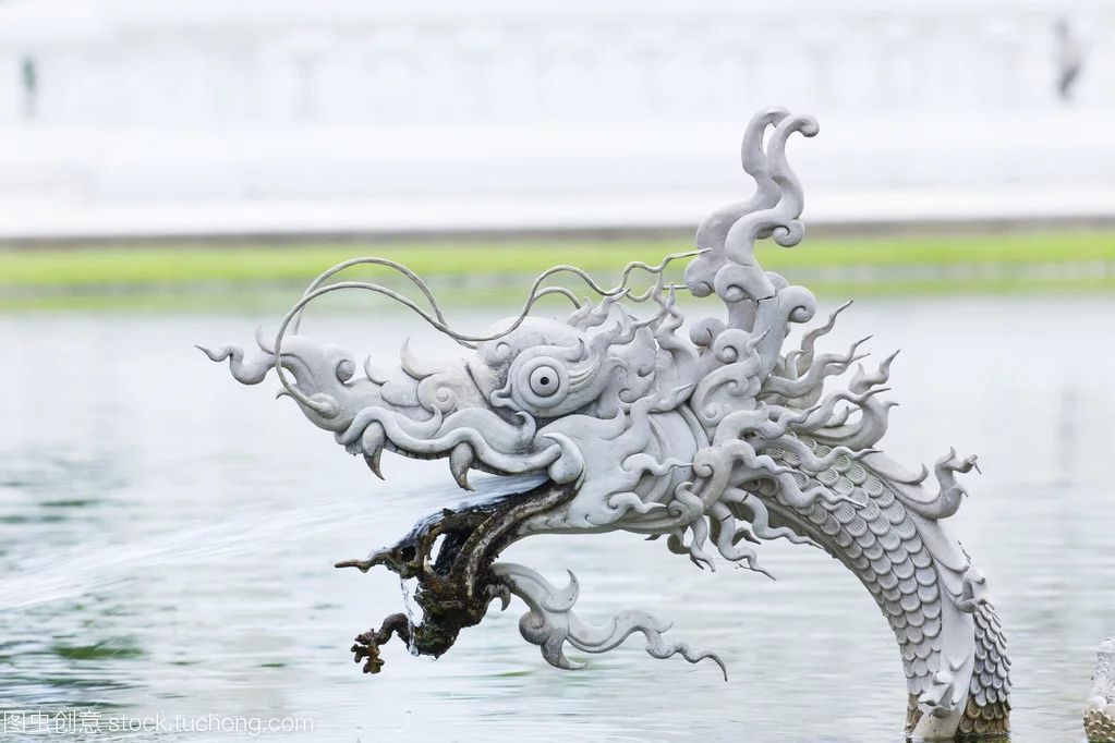 龍魚第二天吐食物：龍魚吐食物可能由多種原因引起，
