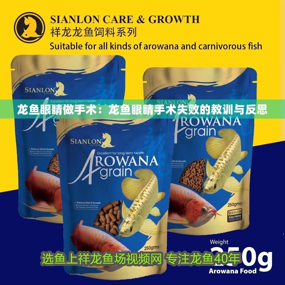 龍魚眼睛做手術：龍魚眼睛手術失敗的教訓與反思