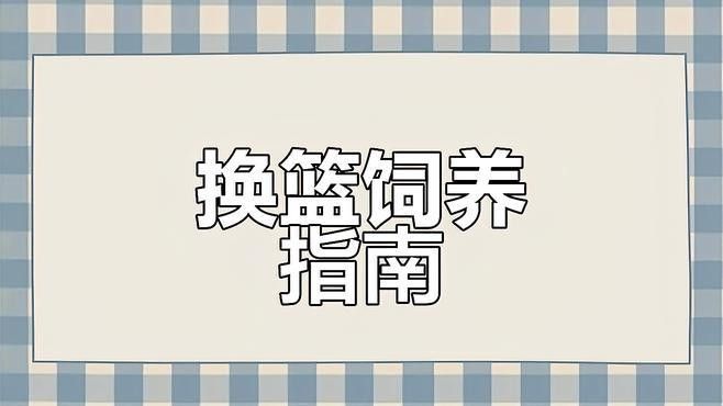 雷龍魚品種圖鑒及價格