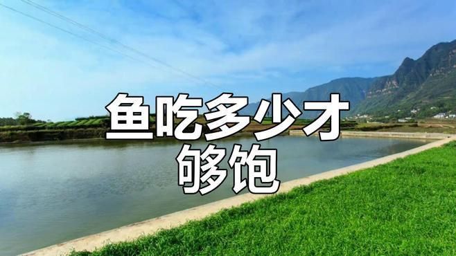 如何判斷小魚是否吃飽？