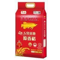 金龍魚執行標準號