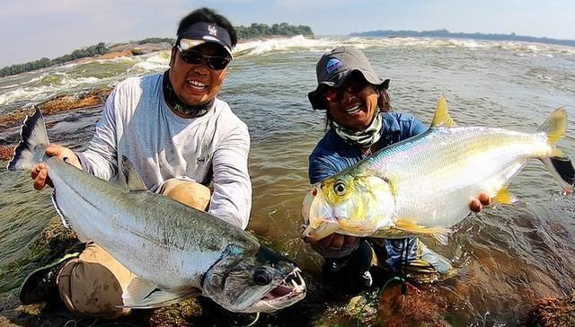 釣魚生活銀龍魚怎么釣（《<strong><mark>和平</mark></strong>精英》銀龍魚怎么釣銀龍魚釣魚攻略和注意事項）