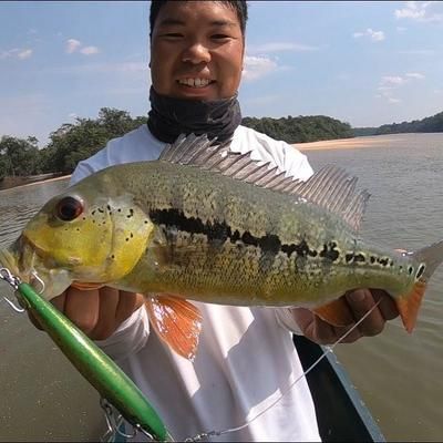 釣魚生活銀龍魚怎么釣（《和平精英》銀龍魚怎么釣銀龍魚釣魚攻略和注意事項）