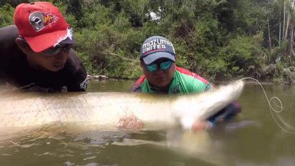 釣魚生活銀龍魚怎么釣（《和平精英》銀龍魚怎么釣銀龍魚釣魚攻略和注意事項）