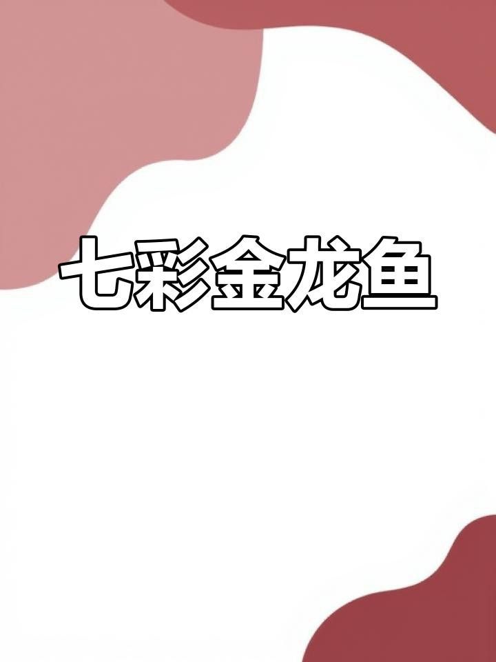 七彩金龍魚的價格是多少？