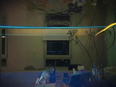 紅龍魚長多大開始減少喂食（如何判斷紅龍魚是否過飽，紅龍魚常見疾病預防措施）