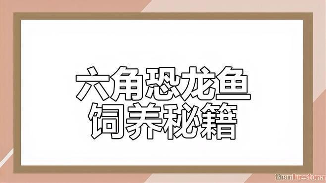 六角龍魚養100年的照片