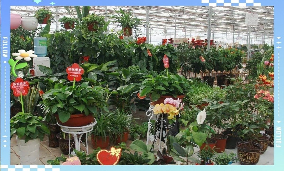 長春龍魚養殖場在哪