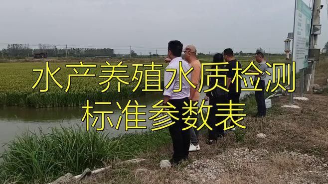 如何判斷龍魚苗的健康狀況？